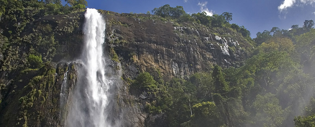 sigiriya 
landscape
